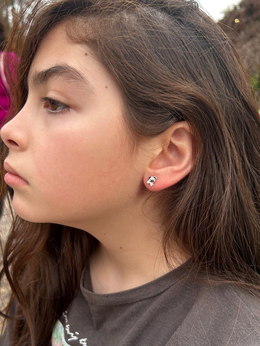 Pack Aros Bull Dog de Plata 925