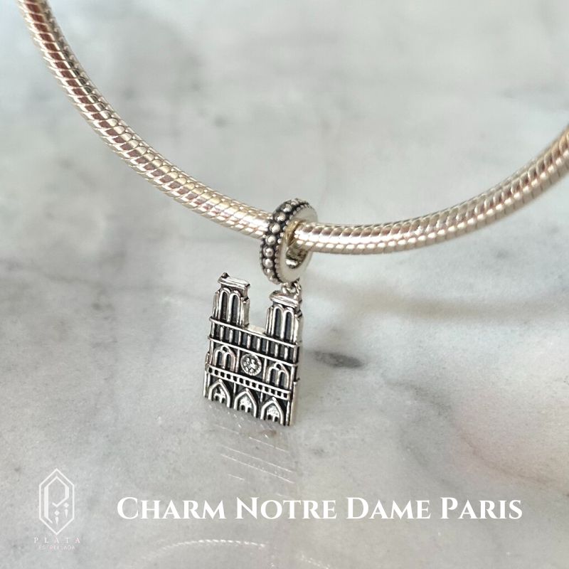 Charm Notre Dame Paris